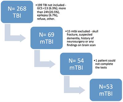 Cognitive Impairment Following Acute Mild Traumatic Brain Injury